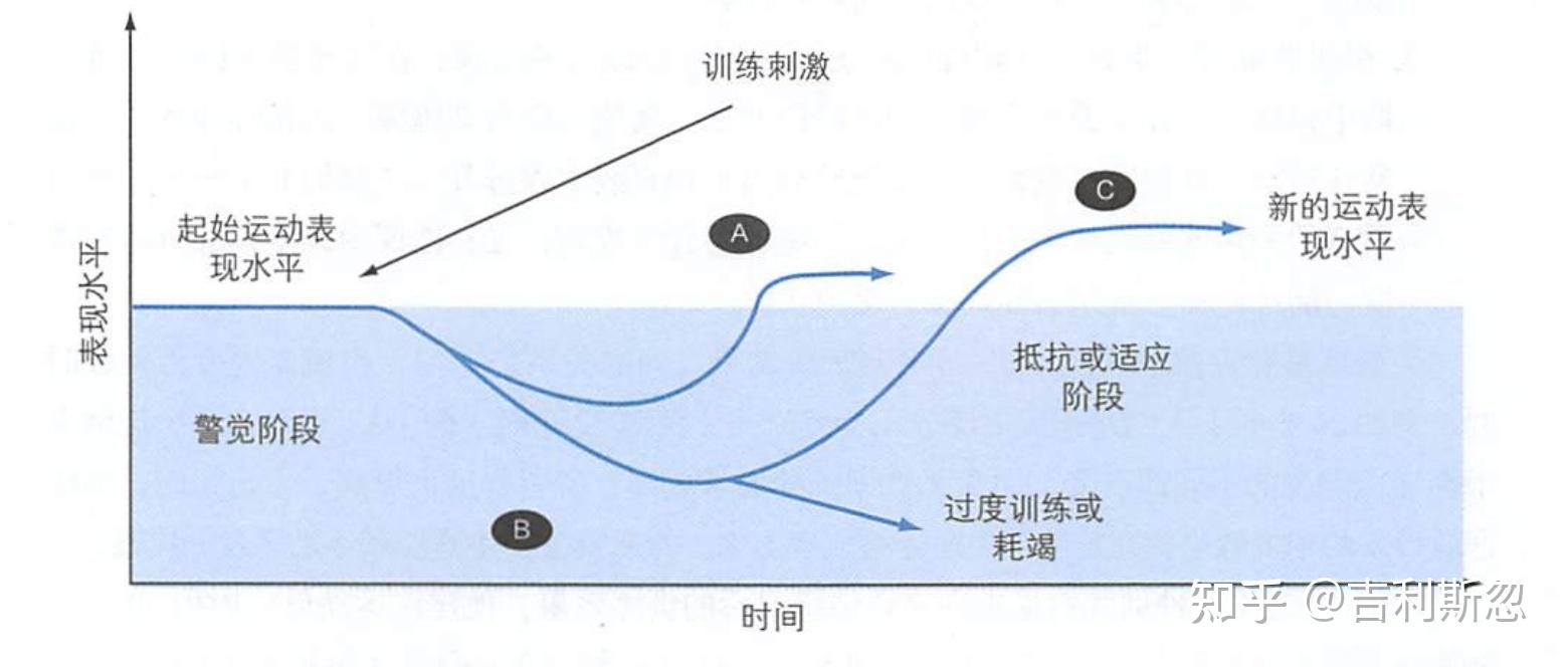 张水华伤病对马拉松成绩的影响及后续赛事风险分析(图1)