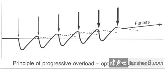 京津冀细胞和基因治疗药物质量研究研讨会暨首届干细胞规范培训会在大兴成功举办(图1)